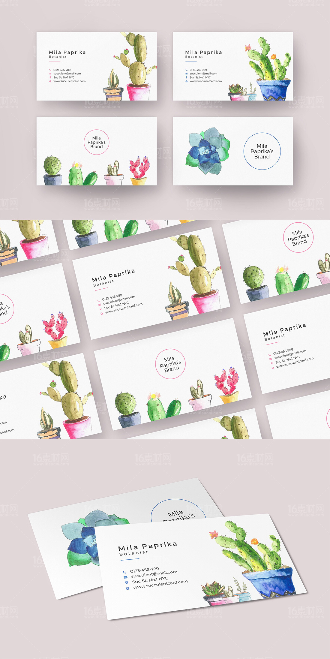 Watercolor Succulent Business Card.jpg