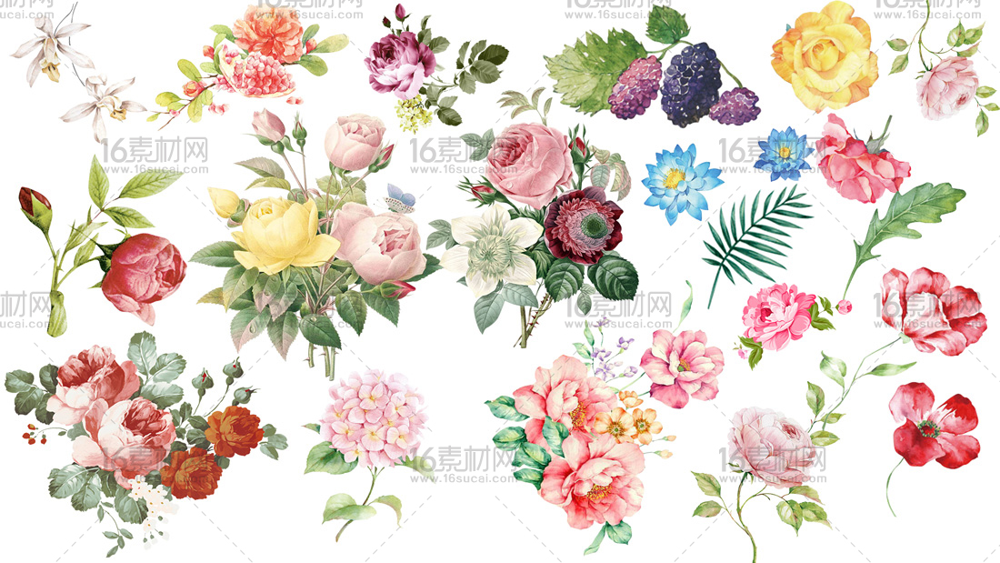 各式手绘花卉图片psd分层素材