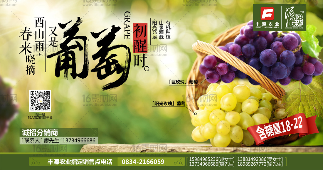 绿色清新新鲜葡萄宣传海报psd分层素材
