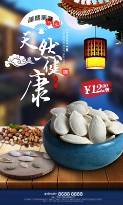 中国风瓜子食品小吃海报psd分层素材下载