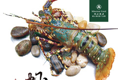 简洁澳洲龙虾宣传海报psd分层素材