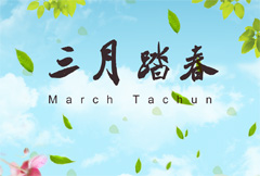 自然清新三月踏春活动海报psd分层素材