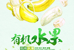 有机水果香蕉宣传海报psd分层素材