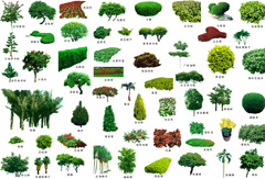绿色清新花圃树木元素psd分层素材