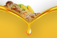 金色质感食用油海报psd分层素材