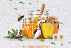 食于自然蜂蜜宣传海报psd分层素材
