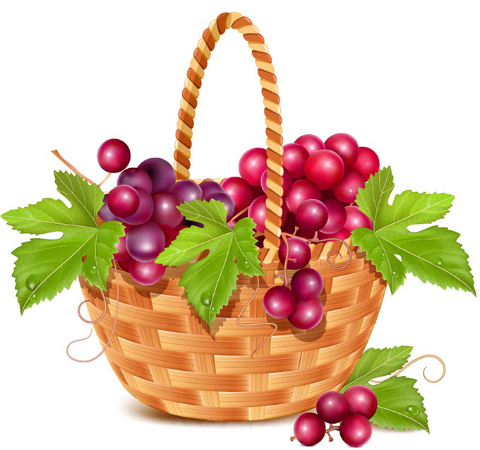 美味的葡萄与水果篮子矢量素材