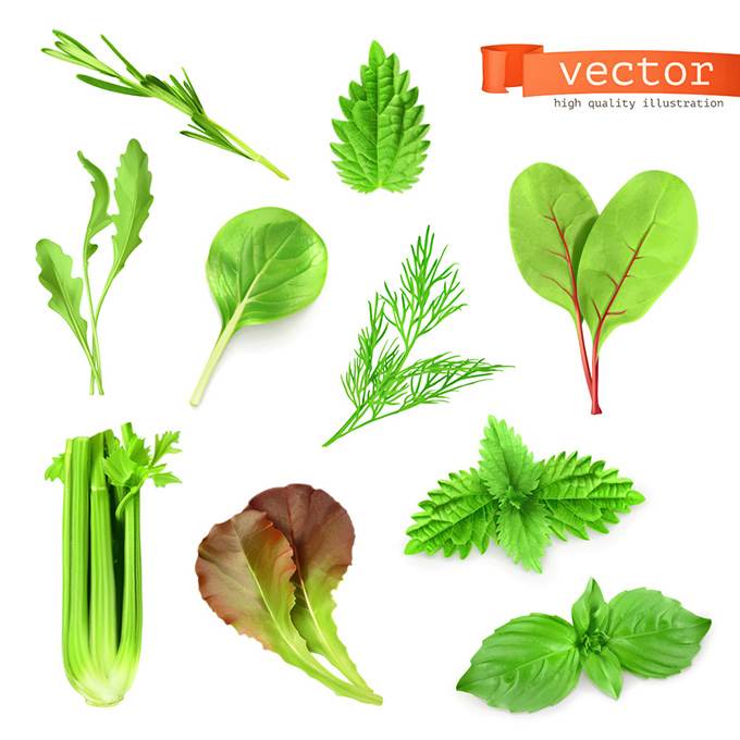 绿色蔬菜图形标识矢量素材