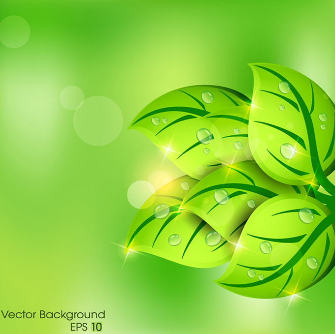 绿色树叶植物设计矢量素材