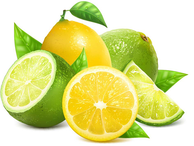 新鲜的柠檬水果矢量素材