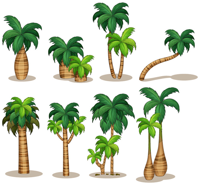 8款精美椰子树矢量素材