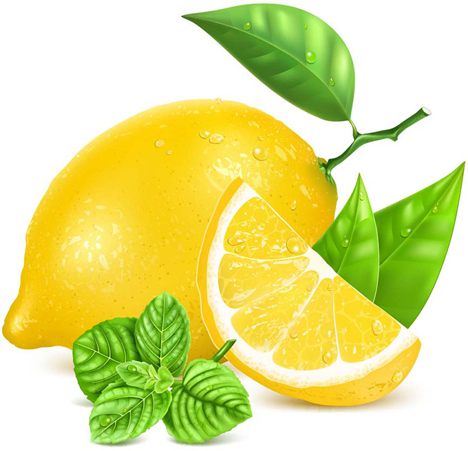 新鲜的柠檬设计矢量素材