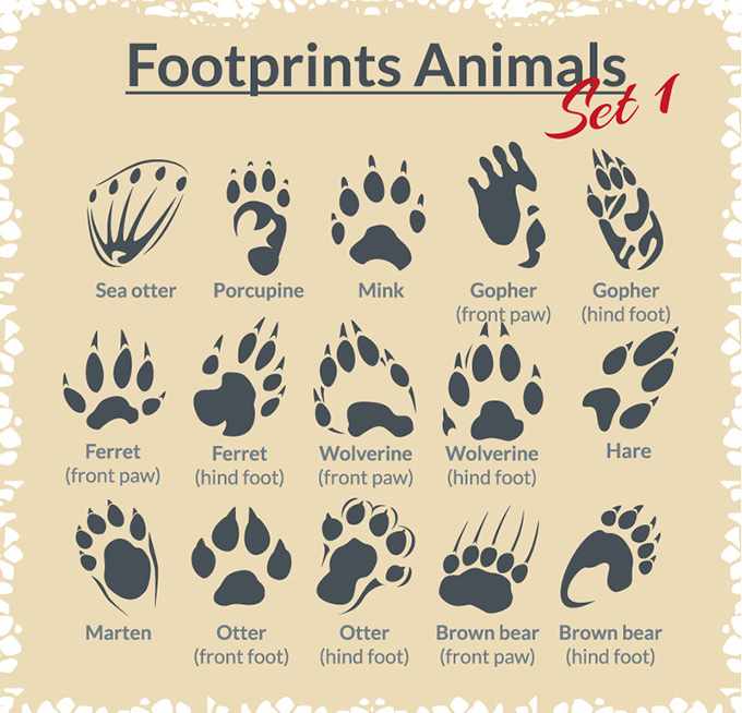 15款动物脚印设计矢量素材