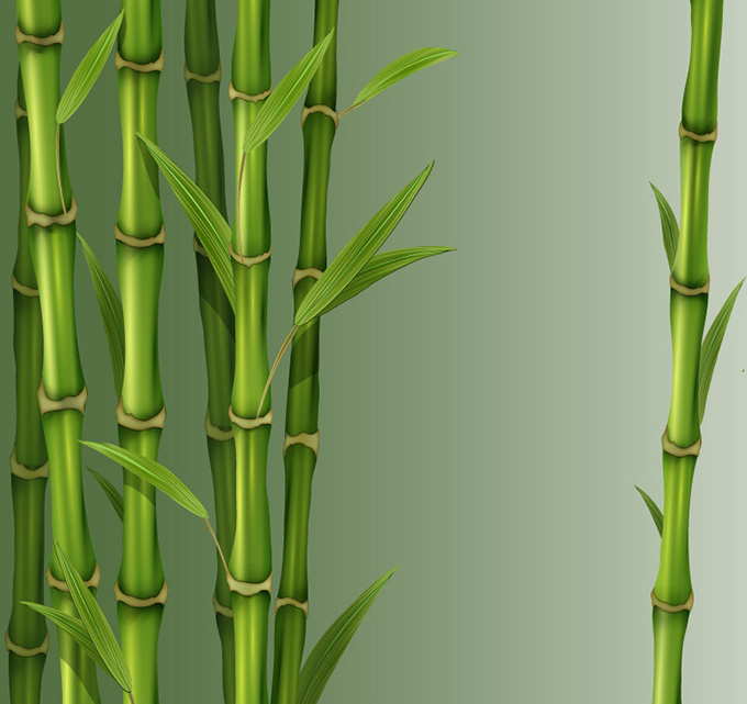 精美绿色竹子矢量素材