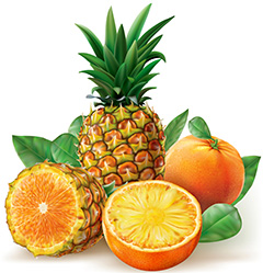 混在一起的橙色水果菠萝矢量素材