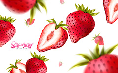 鲜红美味的草莓矢量素材