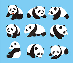 蓝色背景上的卡通可爱大熊猫矢量素材