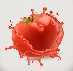 鲜红的番茄和飞溅的果汁矢量素材
