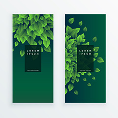 绿色背景上的树叶装饰海报背景矢量素材