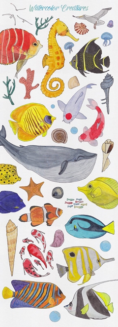 海洋水彩绘画漂亮水彩手绘海洋生物矢量素材