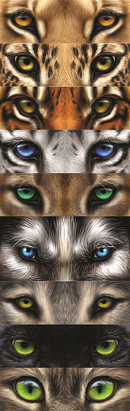 10个动物眼睛特写矢量素材