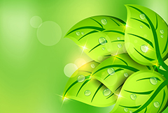 绿色树叶植物设计矢量素材