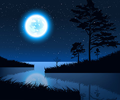 月光下的湖面和草木矢量素材