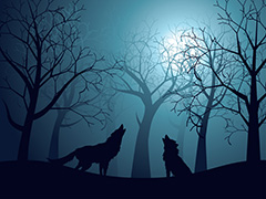 夜空下的树木和嚎叫的狼矢量素材