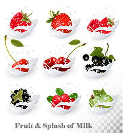 飞溅的牛奶中九种不同的浆果矢量素材