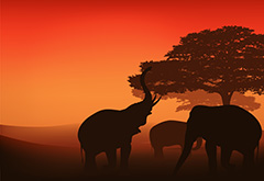 夕阳下非洲大草原上的大象矢量素材