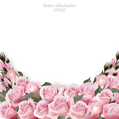 粉红色浪漫玫瑰花朵边框花边矢量素材