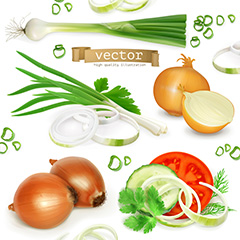多种切开的蔬菜矢量素材