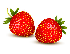 两颗漂亮的草莓矢量素材