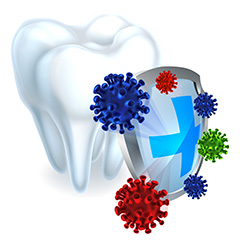 抵御牙齿细菌的盾牌牙齿模型矢量素材
