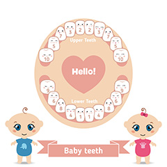 牙齿健康与婴儿矢量素材