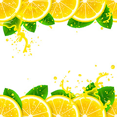柠檬绿叶水果矢量素材