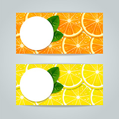 柠檬水果卡片设计矢量素材