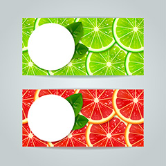 彩色柠檬水果卡片矢量素材