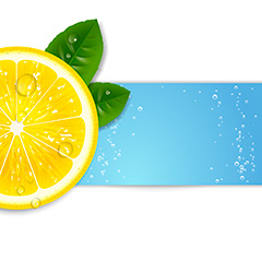 夏季主题柠檬水果矢量素材