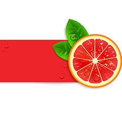 红色柠檬水果矢量素材