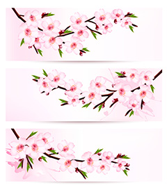 清新粉色花朵植物矢量素材