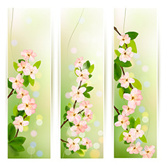 粉色花朵植物春季主题矢量素材