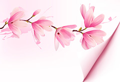 粉色花朵植物卷纸矢量素材