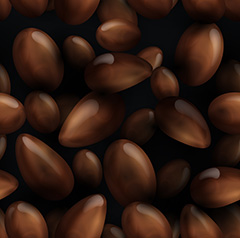 咖啡豆甜食巧克力矢量素材
