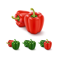 红辣椒食物蔬菜矢量素材