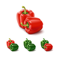 红绿辣椒蔬菜矢量素材
