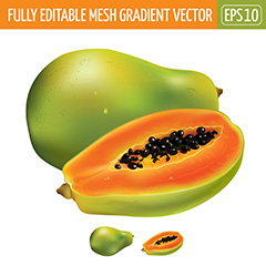 木瓜水果设计矢量素材