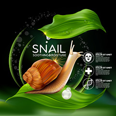 清新绿色蜗牛护肤精华宣传广告矢量素材