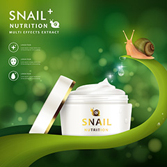 自然护肤美肤蜗牛产品宣传广告海报矢量素材