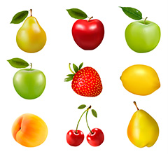 整齐排列的各种水果矢量素材